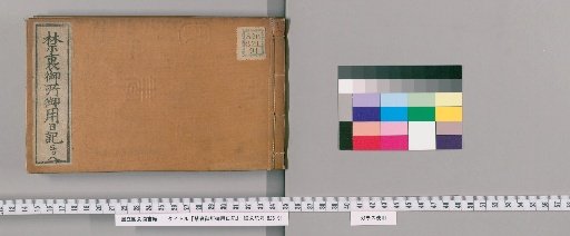 Imperial Palace Official Diary [308]