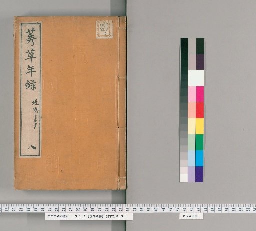 Tsutsumi Antsui Collection [8]