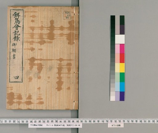 Bird Feeding Society Records [4]