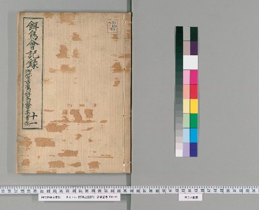 Bird Feeding Society Records [11]