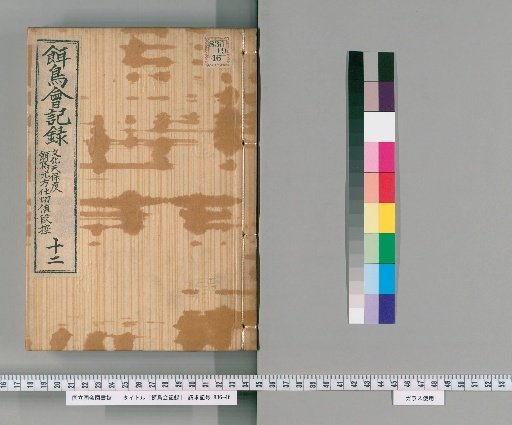 Bird Feeding Society Records [12]