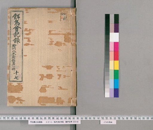 Record of the Bird-Feeding Gathering [17]