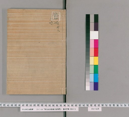 Genealogical Charts of the Military Families of Japan [37]