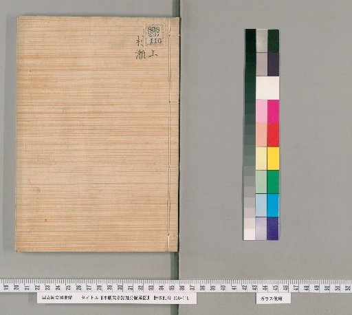 Genealogical Charts of the Military Families of Japan [44]