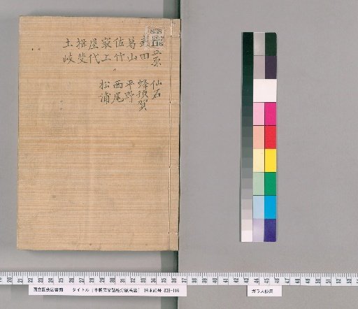Genealogical Charts of the Military Families of Japan [49]