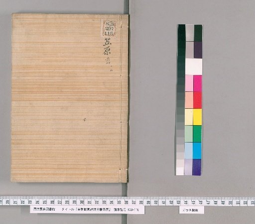 Genealogical Charts of the Military Families of Japan [60]