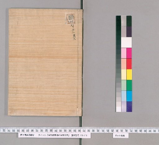 Genealogical Charts of the Military Families of Japan [73]