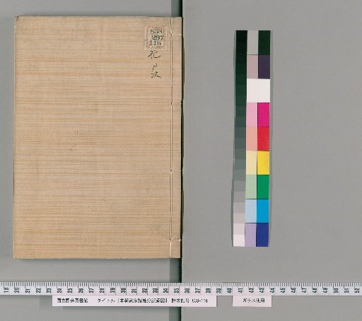 Genealogical Charts of the Surnames of the Warrior Families of Our Country [89]