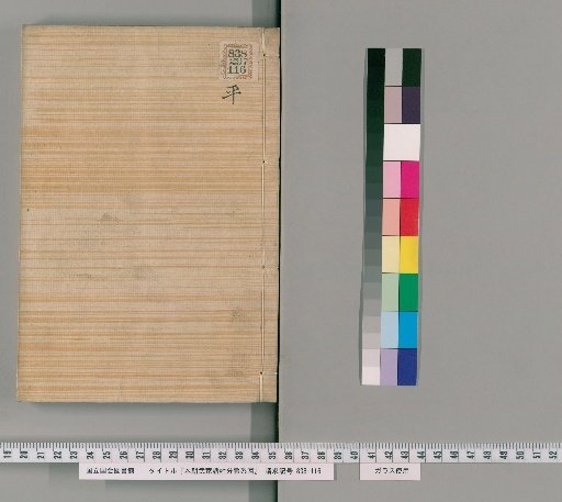 Genealogical Charts of the Surnames of the Warrior Families of Our Country [91]