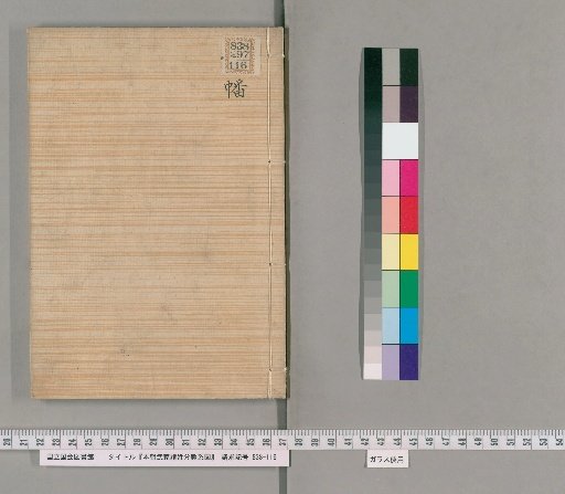 Genealogical Charts of the Surnames of the Warrior Families of Our Country [131]