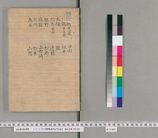 Genealogical Charts of the Surnames of the Warrior Families of Our Country [140]