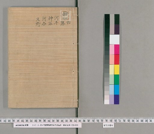 Genealogical Charts of the Surnames of the Warrior Families of Our Country [142]