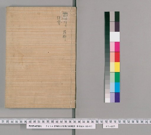 Genealogical Charts of the Surnames of the Warrior Families of Our Country [159]