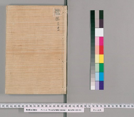 Genealogical Charts of the Surnames of the Warrior Families of Our Country [169]
