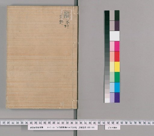 Genealogical Charts of the Surnames of the Warrior Families of Our Country [171]