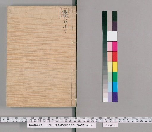 Genealogical Charts of the Surnames of the Warrior Families of Our Country [172]