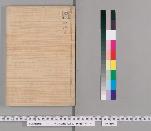Genealogical Charts of the Surnames of the Warrior Families of Our Country [173]