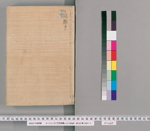Genealogical Charts of the Surnames of the Warrior Families of Our Country [176]