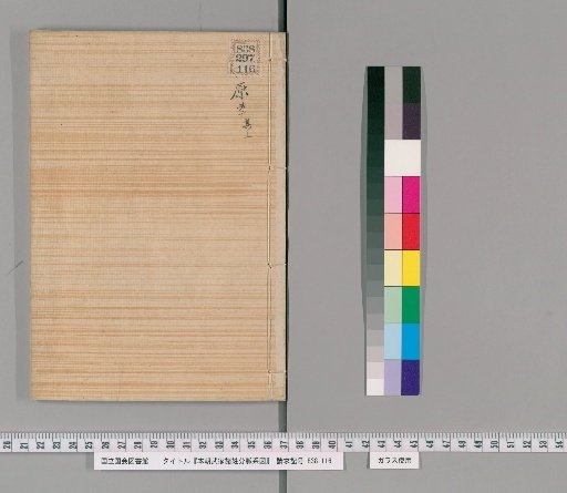Genealogical Charts of the Surnames of the Warrior Families of Our Country [179]