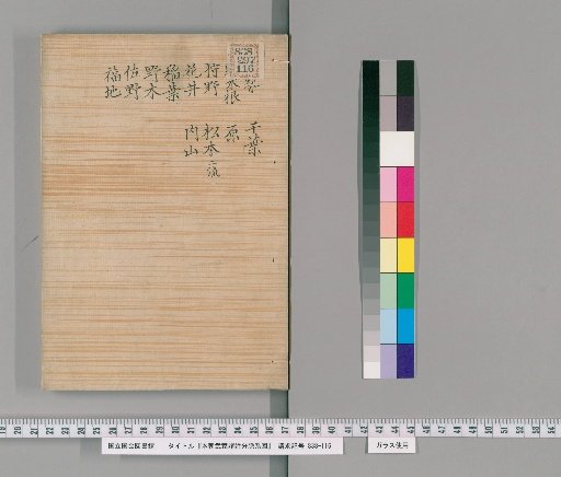 Genealogical Charts of the Surnames of the Warrior Families of Our Country [181]