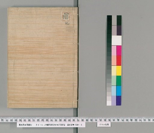 Genealogical Charts of the Surnames of the Warrior Families of Our Country [185]