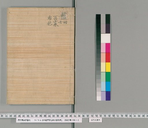 Genealogical Charts of the Surnames of the Warrior Families of Our Country [194]
