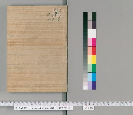 Genealogical Charts of the Surnames of the Warrior Families of Our Country [195]