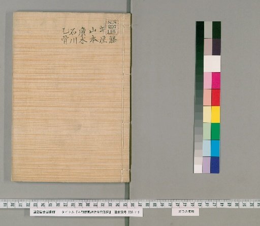 Genealogical Charts of the Military Families of Japan [203]