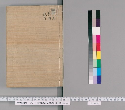 Genealogical Charts of the Military Families of Japan [234]