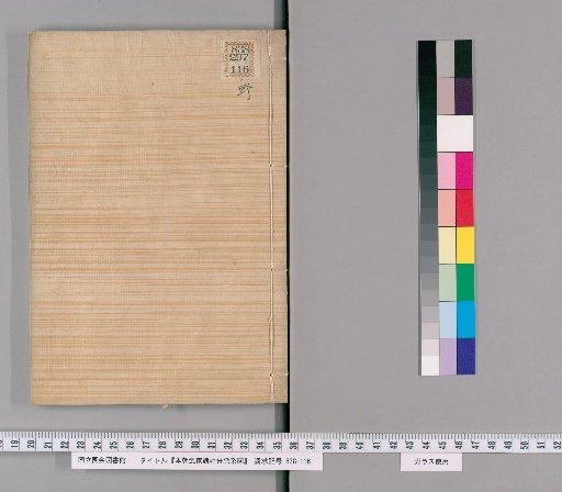 Genealogical Charts of the Surnames of the Warrior Families of Our Country [239]