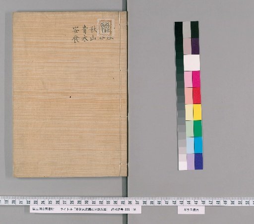 Genealogical Charts of the Surnames of the Warrior Families of Our Country [243]