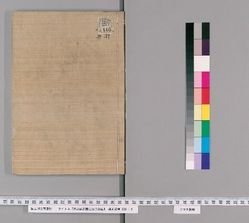 Genealogical Charts of the Surnames of the Warrior Families of Our Country [244]