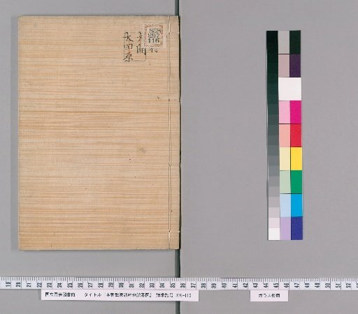 Genealogical Charts of the Surnames of the Warrior Families of Our Country [245]