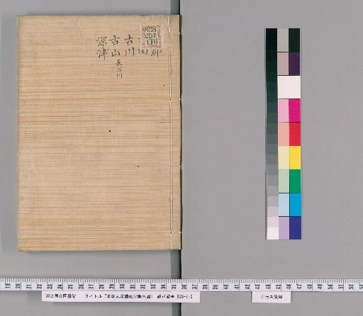 Genealogical Charts of the Surnames of the Warrior Families of Our Country [247]