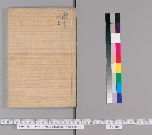 Genealogical Charts of the Surnames of the Warrior Families of Our Country [252]