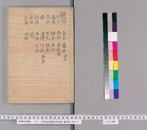 Genealogical Charts of the Surnames of the Warrior Families of Our Country [253]