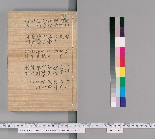 Genealogical Charts of the Surnames of the Warrior Families of Our Country [254]