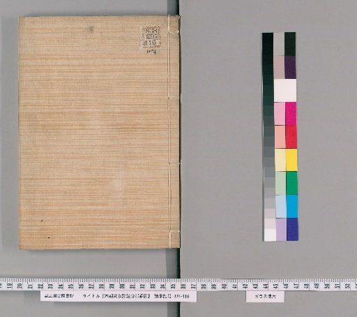 Genealogical Charts of the Surnames of the Warrior Families of Our Country [255]