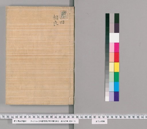 Genealogical Charts of the Surnames of the Warrior Families of Our Country [264]