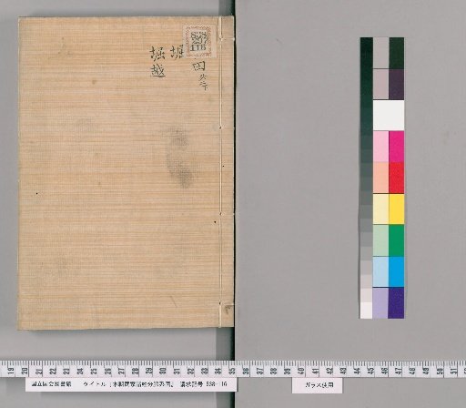 Genealogical Charts of the Surnames of the Warrior Families of Our Country [266]