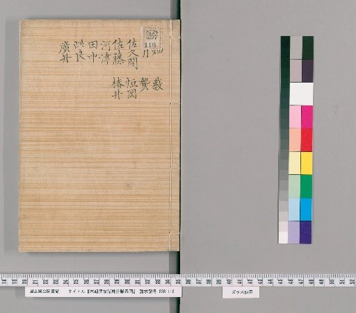Genealogical Charts of the Surnames of the Warrior Families of Our Country [273]