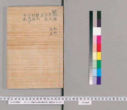 Genealogical Charts of the Surnames of the Warrior Families of Our Country [274]