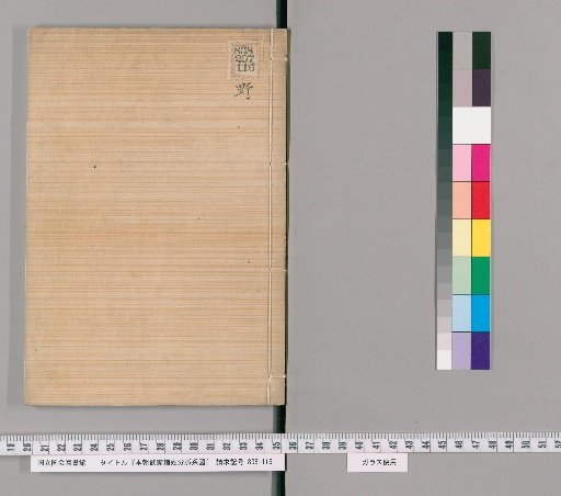 Genealogical Charts of the Military Families of Japan [285]