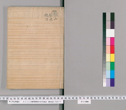 Genealogical Charts of the Military Families of Japan [291]