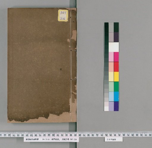 Lingnan Remnant Books, Volume 60