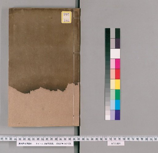 Books of Lingnan, Volume 88