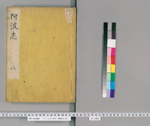 Record of Awa [8]