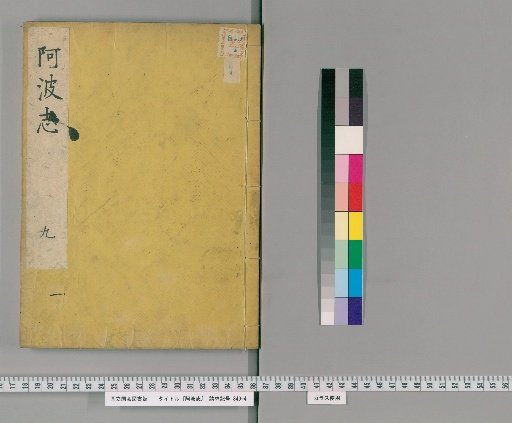 Record of Awa [9]