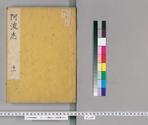 Record of Awa [11]
