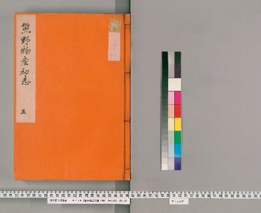 Kumanō Products: First Intentions, Vol. 5 [5]